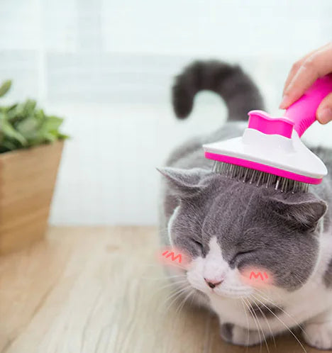 Pet Grooming Brush
