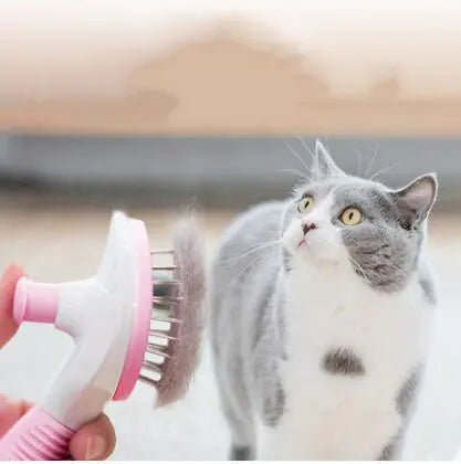 Pet Grooming Brush